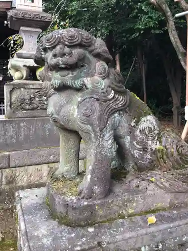 石神井氷川神社の狛犬