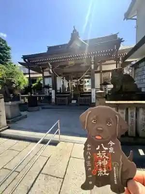 今泉八坂神社の御朱印