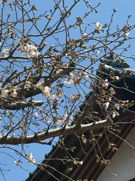 忠興八幡神社の{uncategorized: "未分類", other: "その他", undefined: "問題あり", building: "その他建物", grave: "お墓", sacred_gate: "鳥居", guardian: "狛犬", statue: "像", buddha: "仏像", history: "歴史", nature: "自然", garden: "庭園", animal: "動物", pagoda: "塔", temizu: "手水舎", mountain_gate: "山門・神門", sanctuary: "本殿・本堂", subordinate: "末社・摂社", art: "芸術", scenery: "景色", jizo: "地蔵", ema: "絵馬", goshuin: "御朱印", omikuji: "おみくじ", items: "授与品その他", amulet: "お守り", goshuincho: "御朱印帳", eats: "食事", festival: "お祭り", votive_dance: "神楽", shichigosan: "七五三参", wedding: "結婚式", experience: "体験その他", initially: "初詣", around: "周辺", anti_infection: "感染症対策"}