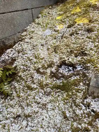 徳善院明王密寺(福島県)