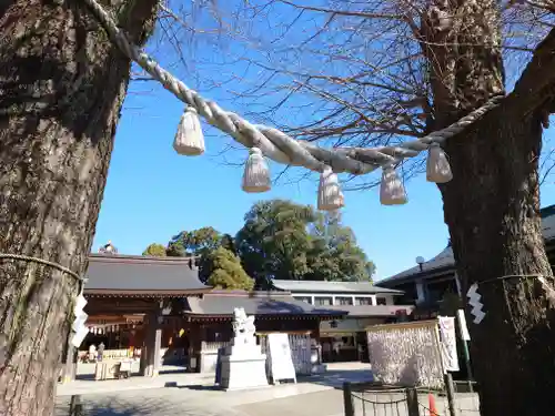 亀ケ池八幡宮(神奈川県)