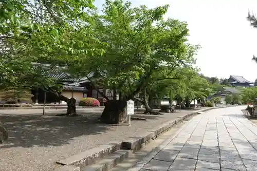 粉河寺の景色