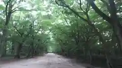 賀茂御祖神社（下鴨神社）の建物その他