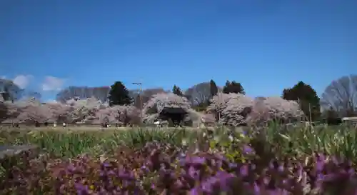 北口本宮冨士浅間神社(山梨県)