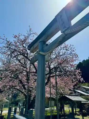 春日神社の鳥居