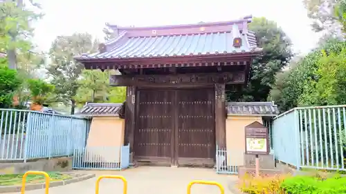 豪徳寺の山門