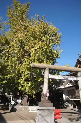 飛木稲荷神社の鳥居