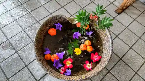 美瑛神社の手水