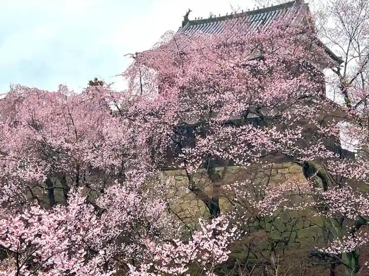 眞田神社(長野県)