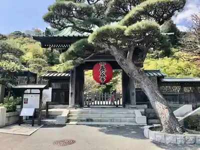 長谷寺の山門・神門