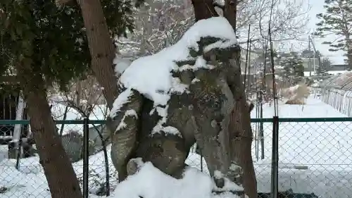 上磯八幡宮の{uncategorized: "未分類", other: "その他", undefined: "問題あり", building: "その他建物", grave: "お墓", sacred_gate: "鳥居", guardian: "狛犬", statue: "像", buddha: "仏像", history: "歴史", nature: "自然", garden: "庭園", animal: "動物", pagoda: "塔", temizu: "手水舎", mountain_gate: "山門・神門", sanctuary: "本殿・本堂", subordinate: "末社・摂社", art: "芸術", scenery: "景色", jizo: "地蔵", ema: "絵馬", goshuin: "御朱印", omikuji: "おみくじ", items: "授与品その他", amulet: "お守り", goshuincho: "御朱印帳", eats: "食事", festival: "お祭り", votive_dance: "神楽", shichigosan: "七五三参", wedding: "結婚式", experience: "体験その他", initially: "初詣", around: "周辺", anti_infection: "感染症対策"}