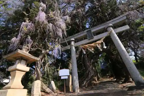 春日神社の鳥居