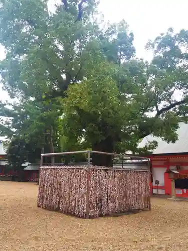住吉大社のその他建物