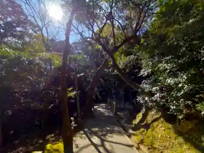 厳魂神社（金刀比羅宮奥社）(香川県)
