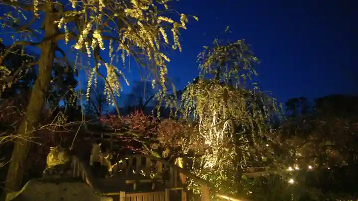 北野天満宮の庭園