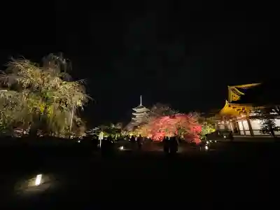 東寺（教王護国寺）(京都府)
