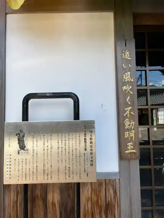 地藏院(埼玉県)