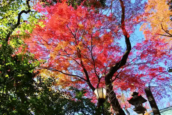日吉神社の景色