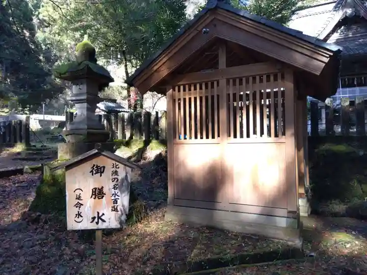 八坂神社(福井県)