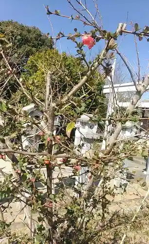 比佐豆知神社の自然