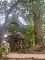 須佐神社(島根県)