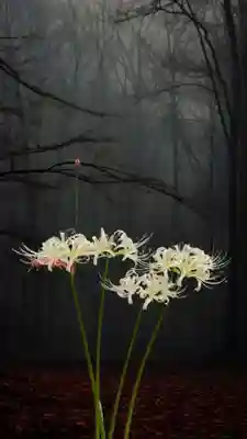 高幡不動尊 金剛寺(東京都)