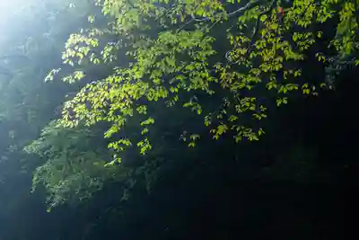 天安河原宮(宮崎県)