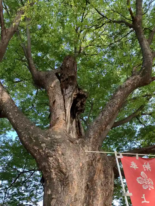 新町諏訪神社(群馬県)