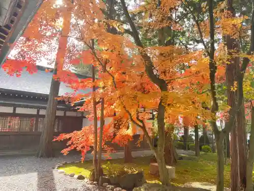 諏訪大社下社秋宮(長野県)