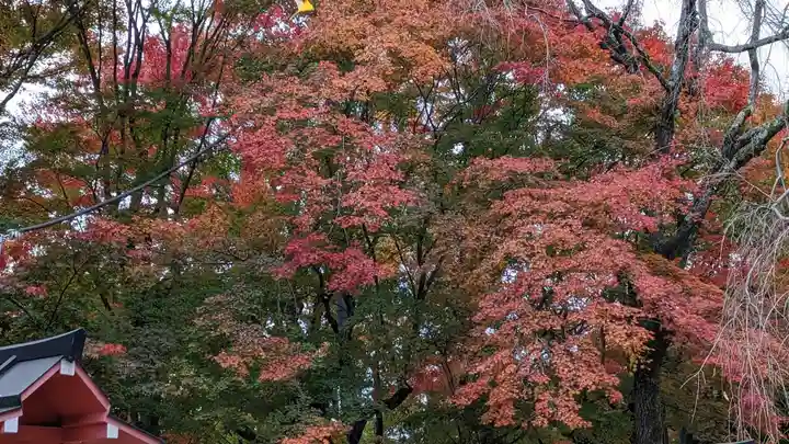 松ヶ崎大黒天 妙圓寺(妙円寺)(京都府)