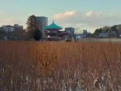寛永寺不忍池弁天堂のその他建物
