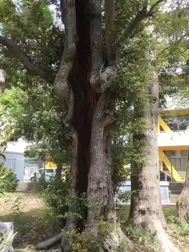 前原御嶽神社(千葉県)