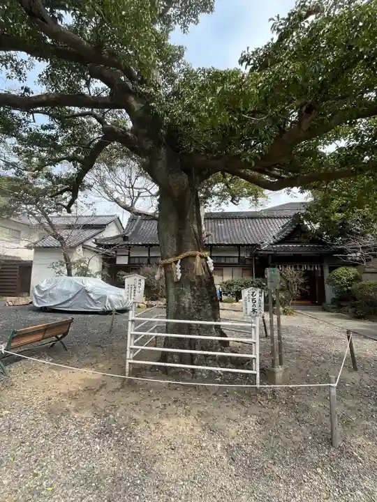 生根神社(大阪府)