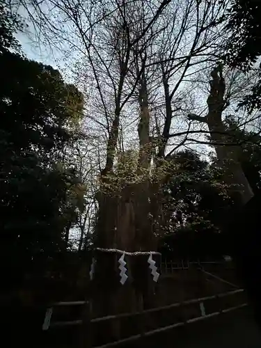 大國魂神社(東京都)
