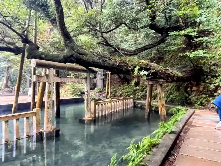 鹿島神宮の{uncategorized: "未分類", other: "その他", undefined: "問題あり", building: "その他建物", grave: "お墓", sacred_gate: "鳥居", guardian: "狛犬", statue: "像", buddha: "仏像", history: "歴史", nature: "自然", garden: "庭園", animal: "動物", pagoda: "塔", temizu: "手水舎", mountain_gate: "山門・神門", sanctuary: "本殿・本堂", subordinate: "末社・摂社", art: "芸術", scenery: "景色", jizo: "地蔵", ema: "絵馬", goshuin: "御朱印", omikuji: "おみくじ", items: "授与品その他", amulet: "お守り", goshuincho: "御朱印帳", eats: "食事", festival: "お祭り", votive_dance: "神楽", shichigosan: "七五三参", wedding: "結婚式", experience: "体験その他", initially: "初詣", around: "周辺", anti_infection: "感染症対策"}