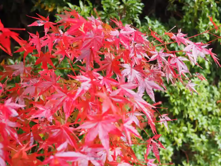 円成寺の{uncategorized: "未分類", other: "その他", undefined: "問題あり", building: "その他建物", grave: "お墓", sacred_gate: "鳥居", guardian: "狛犬", statue: "像", buddha: "仏像", history: "歴史", nature: "自然", garden: "庭園", animal: "動物", pagoda: "塔", temizu: "手水舎", mountain_gate: "山門・神門", sanctuary: "本殿・本堂", subordinate: "末社・摂社", art: "芸術", scenery: "景色", jizo: "地蔵", ema: "絵馬", goshuin: "御朱印", omikuji: "おみくじ", items: "授与品その他", amulet: "お守り", goshuincho: "御朱印帳", eats: "食事", festival: "お祭り", votive_dance: "神楽", shichigosan: "七五三参", wedding: "結婚式", experience: "体験その他", initially: "初詣", around: "周辺", anti_infection: "感染症対策"}
