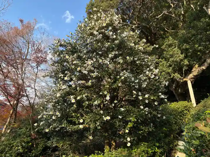 金福寺(京都府)