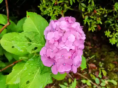 光触寺(神奈川県)
