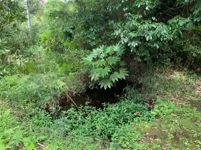 筆崎神社の自然