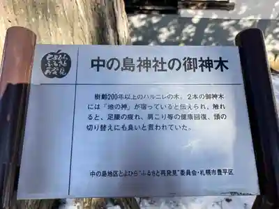 中の島神社(北海道)
