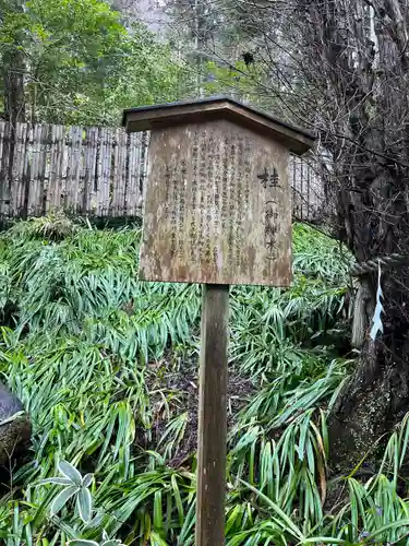 貴船神社結社(京都府)