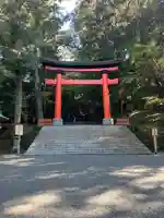 宇佐神宮の鳥居