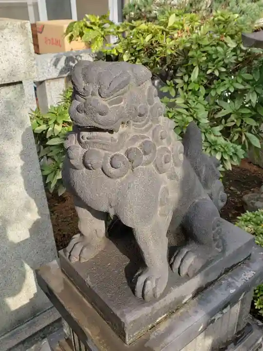 佃住吉神社晴海分社の狛犬