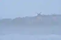 宝徳山稲荷大社(新潟県)