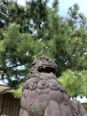 福井神社(福井県)