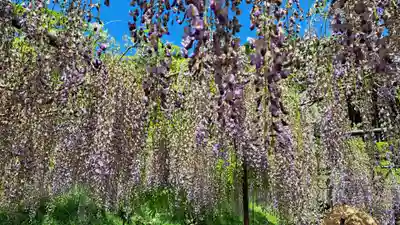 天台宗 五大山 白毫寺(兵庫県)