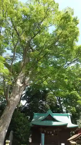酒門神社(茨城県)