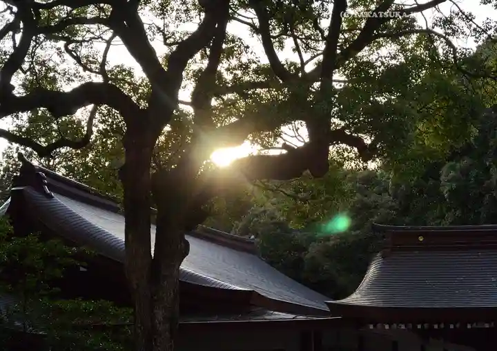 明治神宮(東京都)