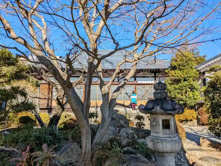 臨江寺の本殿・本堂