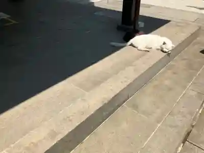 愛宕神社(東京都)